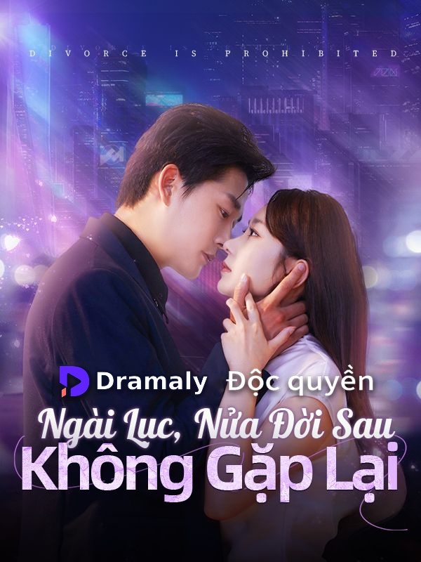 Ngài Lục, Nửa Đời Sau Không Gặp Lại